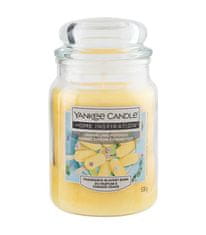 Yankee Candle Dišeča sveča Home Inspiration velika Lemon Lime Popsicle 538 g