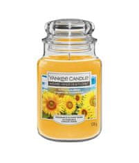 Yankee Candle Dišeča sveča Home Inspiration velika Sončnična polja 538 g