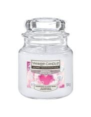 Yankee Candle Dišeča sveča Home Inspiration small Bubble Time 104 g