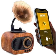 Mozos Retro brezžični zvočnik BT SD TF USB 5W Bluetooth 5.0 Mini-B5 Prenosni FM radio vintage Brown