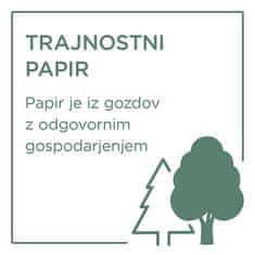 Avery Zweckform papir 1198, 120 g, 200 listov, za laserske tiskalnike, A4, foto papir, za tiskanje