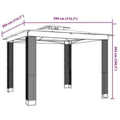 Vidaxl Paviljon z dvojno streho antracit 2,94x2,94 m jeklo