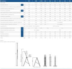 Noah ALUMINIJASTA LESTEV 3-DELNA 420CM 7+7+7 STOPNIC