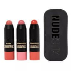 NUDESTIX Pretty Blush Kit