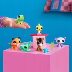 Littlest Pet Shop Pet Surprise - Presenečenje v škatli