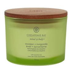 Svíčka ve skleněné váze Chesapeake Bay Candle, Probuzení a osvěžení, citronová tráva a eukalyptus, 312 g