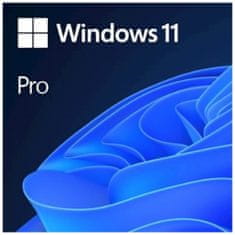 Microsoft Windows Pro 11 FPP slovenski, USB