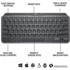 Logitech Tipkovnica MX Keys Mini, grafitna barva, SLO g.