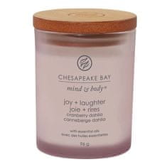 Svíčka ve skleněné váze Chesapeake Bay Candle, Radost a smích, brusinky a švestky, 96 g