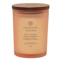 Svíčka ve skleněné váze Chesapeake Bay Candle, Láska a vášeň, grapefruit a mango, 250 g