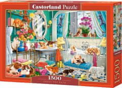 Castorland Puzzle Nora kopel 1500 kosov