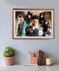 Clementoni Puzzle Harry Potter 500 kosov