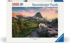 Ravensburger Puzzle Alpska koza z mladičem 3000 kosov