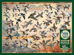 Cobble Hill Puzzle Ducks of North America 1000 kosov