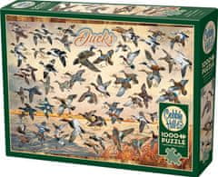 Cobble Hill Puzzle Ducks of North America 1000 kosov