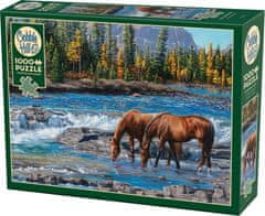 Cobble Hill Puzzle Rocky ford 1000 kosov