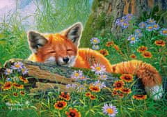 Castorland Puzzle Fox Dreaming 500 kosov