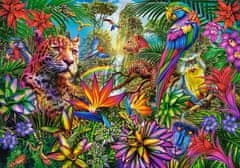 Castorland Jungle Fashion Puzzle 500 kosov