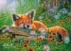 Castorland Puzzle Fox Dreaming 100 kosov