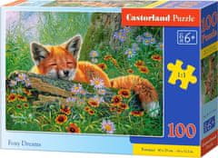 Castorland Puzzle Fox Dreaming 100 kosov