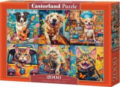 Castorland Puzzle Izberite svojega ljubljenčka 2000 kosov