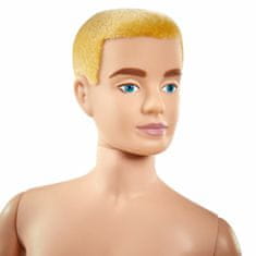 NEW Doll Barbie Ken Silkstone