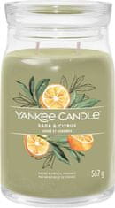 Yankee Candle Dišeča sveča Signature in glass large Sage & Citrus 567g