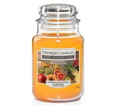 Yankee Candle Klasična Dišeča sveča v kozarcu Exotic Fruits 538 g