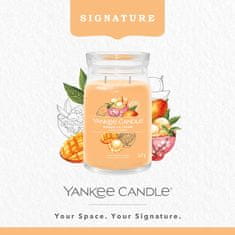 Yankee Candle Dišeča sveča Podpis v steklu velika Mango Ice Cream 567g