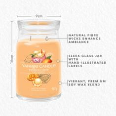 Yankee Candle Dišeča sveča Podpis v steklu velika Mango Ice Cream 567g