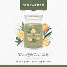 Yankee Candle Dišeča sveča Signature in glass large Sage & Citrus 567g