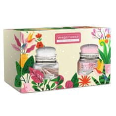 Yankee Candle Darilni set sveč Sugared Blossom & Duvet Day 2 x 104 g