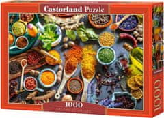 Castorland Puzzle Barve začimb 1000 kosov