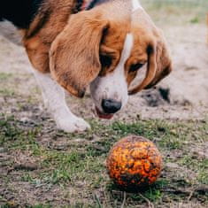 EXPLORER DOG AirBall Orange 8 cm