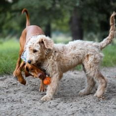 EXPLORER DOG AirBall Orange 8 cm