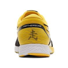 Asics Čevlji obutev za tek 40 EU Tartheredge Taichi