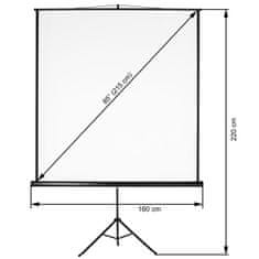 tectake Projekcijsko platno izvlečno različni formati različni formati - 152 x 152 cm