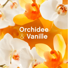 Noah Lenor Orchids &amp; Vanille Rinse 32 pranj