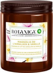 Noah Air Wick Botanica Magnolia uit de Himalaya &amp; Vanille Dišavna sveča 120 g