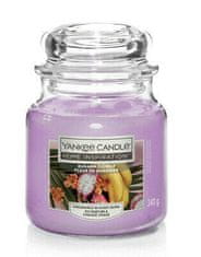 Noah Yankee Candle Banana Flower dišeča sveča 340 g