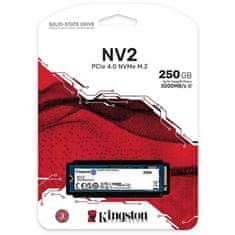 Kingston SSD M.2 250GB NV2 NVMe 