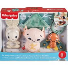 Fisher-Price Fisher-PriceKomplet daril z mnogimi čutili (HRB17)