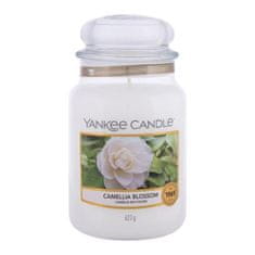 Yankee Candle Camellia Blossom 623 g dišeča svečka