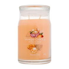 Yankee Candle Signature Mango Ice Cream 567 g dišeča svečka