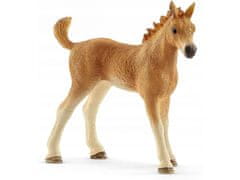 Schleich SLH42432 Schleich Horse Club - Quarter Horse komplet za nego kobile, otroške figurice 5+ 