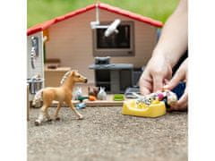 Schleich SLH42502 Schleich Farm World - Veterinarska klinika z živalmi 3+ 