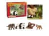 SLH427236 Schleich Wild Life - Komplet štirih divjih živali za začetek, Azija, otroška figurica 3+ 