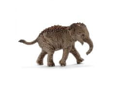 Schleich SLH427236 Schleich Wild Life - Komplet štirih divjih živali za začetek, Azija, otroška figurica 3+ 