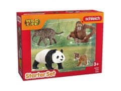 Schleich SLH427236 Schleich Wild Life - Komplet štirih divjih živali za začetek, Azija, otroška figurica 3+ 