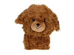 Carmotion Teddy Pets maskota, pudelj, rjava